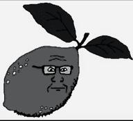closed_mouth food foodjak glasses grey grey_skin greyscale leaves lime soyjak stubble variant:markiplier_soyjak // 255x231 // 16.2KB