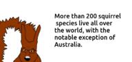 angry animal factjak open_mouth squirrel subvariant:feralsquirrel text variant:feraljak // 607x288 // 47.5KB