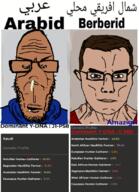 africa arab arabid beige_skin berber berberid brown_skin chud genetics green_eyes jewish_nose phenotype shitskin subvariant:euromutt subvariant:muscular_chud variant:chudjak variant:markiplier_soyjak // 602x829 // 344.4KB