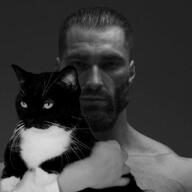animal black_cat cat cute gigachad holding_cat looking_at_you meta:not_oc nas:gigachad