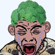 broccoli brown_skin closed_eyes clothes crying dog ear open_mouth pug red_lips series:fruiterz! stubble tear tshirt variant:rupturejak white_skin // 700x702 // 448.7KB