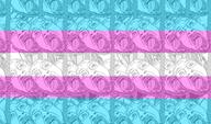 ack flag rope tranny trans trans_flag variant:bernd // 1206x712 // 581.8KB
