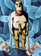 acteria bwc drink drinking_straw hanging hwnbas4bbc japan probiotics science soyjak subvariant:hornyson variant:bernd variant:cobson yakult // 2974x4034 // 1.9MB