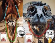 bloodshot_eyes crying dinosaur giganotosaurus jawline looksmax looksmaxxing mewing redditard selfish_little_fuck skeleton skull t-rex text tyrannosaurus variant:cryboy_soyjak // 1281x988 // 2.7MB