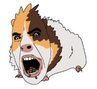 angry animal arm black_sclera coprophagia eating full_body guinea_pig hand leg open_mouth poop soyjak variant:cobson // 1072x980 // 56.7KB