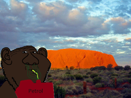 aboriginal australia desert ear petrol swede variant:impish_soyak_ears // 1200x900 // 2.0MB