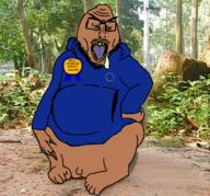 ape award euromutt flag:european_union full_body gorilla irl_background monkey most_obsessed_faggot_award penis shitskin spit star_(symbol) subvariant:euromutt sweater // 754x701 // 796.6KB