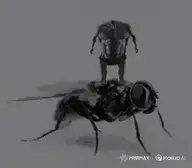 animated dance full_body grey_background idle_animation large_torso meta:ai_generated meta:low_resolution meta:not_oc muscles muscular_male nas:gigachad small_head standing subnas:gigafly watermark