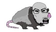animal braces ear full_body glasses open_mouth opossum redraw soyjak stubble variant:feraljak // 1635x942 // 24.3KB