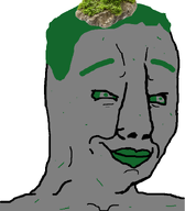 literal_who meta:namefags moss moss_(user) mossy namefags oc smile stone variant:chudjak wholesome // 641x733 // 62.8KB