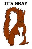 animal closed_eyes closed_mouth frown its_over sad soyjak subvariant:feralsquirrel text trend:squirreljakking variant:feraljak // 340x512 // 141.4KB