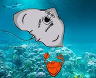 2soyjaks animal crab full_body glasses irl_background open_mouth sea soyjak stingray variant:impish_soyak_ears variant:markiplier_soyjak // 700x570 // 473.0KB