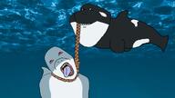 animal bite crying fins fish hanging incomprehensible_woahjack killer_whale noose open_mouth orca shark snout underwater variant:bernd variant:impish_soyak_ears water // 1280x720 // 756.4KB
