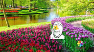 arm closed_eyes flower glasses hand holding_object plant pupils river smelling smile soyjak stubble subvariant:wholesome_soyjak variant:gapejak wholesome // 798x441 // 502.6KB