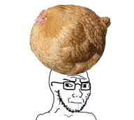 chicken cross_eyed drool dumb object_on_head stubble subvariant:soyak_(irritated) variant:soyak // 1001x900 // 472.2KB