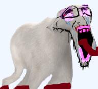 animal bear bloodshot_eyes crying distorted glasses open_mouth polar_bear series:animaljaks soyjak stubble tongue variant:soyak // 773x706 // 457.1KB