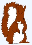 animal brown_fur claws ear full_body meta:nas subvariant:feralsquirrel tail transparent_background trend:squirreljakking white_fur // 2776x3938 // 139.6KB