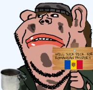 amerimutt beanie black_sclera brown_hair brown_skin clothes cup dirty ear flag:moldova green_shirt holding_sign implied_romania lips long_hair looking_at_you moldova mutt poverty prostitution romania sad soyjak stubble subvariant:impish_amerimutt text transparent_background variant:impish_soyak_ears // 679x656 // 152.3KB