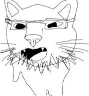 amateur animal cat catjak glasses kitty // 954x1022 // 81.3KB