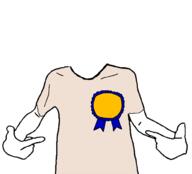 arm award badge clothes headless meta:template template variant:shirtjak // 1000x905 // 90.5KB
