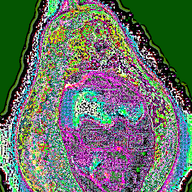 animated compressed ext=gif glasses incomprehensible_woahjack meta:tagme pear soyjak stubble variant:soyak // 428x600 // 187.5KB