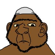 brown_skin closed_mouth clothes ear frown hat islam soyjak stubble variant:ishish_soyak_ears // 750x750 // 16.7KB