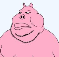 animal closed_mouth ear pig pig_nose pink_skin soyjak stubble transparent transparent_background ukraine variant:meximutt // 888x849 // 10.8KB