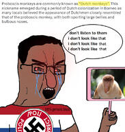 angry arm bloodshot_eyes clothes crying flag:netherlands glasses hair hand holding_object indonesia mirror monkey nazism netherlands open_mouth pol_(4chan) soyjak speech_bubble swastika text tshirt variant:chudjak // 777x817 // 414.8KB
