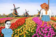 2soyjaks amsterdam anti_ongezellig arm bloodshot_eyes closed_mouth crossed_arms crying flag flower full_body glasses hair hand irl_background leg mymy netherlands ongezellig open_mouth plant rope tongue variant:bernd variant:chudjak windmill // 2114x1408 // 912.6KB