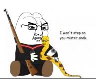 2soyjaks animal chud clothes firearm frog full_body gun holding_gun holding_object holding_rifle iron_cross merge nazism pepe rifle shoe sitting snake sonnenrad text variant:chudjak weapon // 1798x1474 // 805.0KB