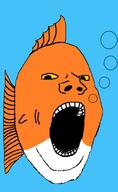 animal blue_background bubble fish full_body inhuman open_mouth orange_skin soyjak underwater variant:gapejak water yellow_sclera // 600x976 // 28.7KB