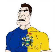 brute castizaryan castizo castizo_futirism flag flag:jalisco jalisco mexico norteno state subvariant:mexibrute // 1133x1080 // 281.7KB