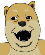 animal dog doge fangs meta:tagme reddit soyjak stubble variant:alicia // 900x1100 // 30.4KB