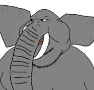 elephant fat lips stubble trunk tusk variant:meximutt // 888x849 // 22.9KB