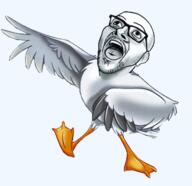 animated glasses open_mouth scuttle seagull soyjak stubble the_little_mermaid variant:unknown // 344x334 // 132.9KB