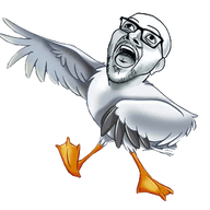 animated glasses open_mouth scuttle seagull soyjak stubble the_little_mermaid variant:stresscasts // 344x334 // 132.9KB
