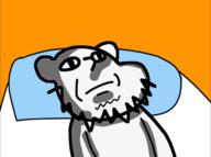 bed ear jakworld lying_down neutral oekaki pillow stubble variant:impish_soyak_ears // 720x536 // 141.6KB