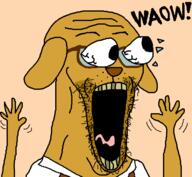 animal clothes dog ear eyes_popping glasses hand hands_up janny open_mouth orange_background snout soyjak stubble subvariant:waow suspenders text tongue variant:soyak waow yellow_skin yellow_teeth // 640x591 // 33.6KB