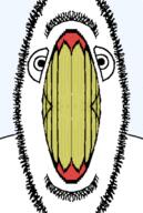 clenched_teeth closed_mouth soyjak stubble variant:cobson yellow_teeth // 958x1426 // 466.5KB