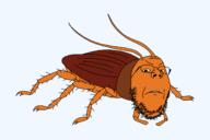 animal antenna bug cockroach frown full_body glasses hairy series:animaljaks soyjak stubble variant:gapejak // 1600x1067 // 43.0KB