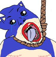 anhero big_lips crying dead ftm hang hanging masectomy_scars pooner scar sega sonic sonic_the_hedgehog stitches tranny variant:bernd // 837x850 // 215.6KB