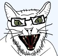 aliased angry animal cat cat_ear ear glasses green_eyes open_mouth soyjak stubble subvariant:feral_meowjak variant:feraljak whisker // 636x621 // 25.3KB