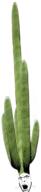 cactus glasses object_on_head open_mouth plant stubble teeth variant:cobson // 1466x6904 // 3.7MB