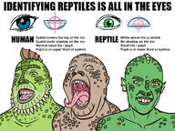 2soyjaks alien bernd_schmidt brown_skin closed_mouth ear fangs green_skin infographic open_mouth redraw reptile reptilian schizoposting sharp_teeth soyjak text tongue variant:fatjak variant:gapejak variant:unknown yellow_eyes // 1333x1000 // 398.5KB