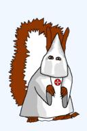 animal clothes full_body kkk ku_klux_klan looking_at_you racism red_squirrel squirrel subvariant:feralsquirrel variant:feraljak // 340x512 // 39.3KB