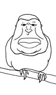 angry angry_birds bird fat funny gooner meta:ai_generated pigeon template tiktok variant:meximutt // 583x981 // 61.9KB