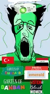 brap_projector_9000 deformed egypt emerald emerald_(namefag) garten_of_banban hello_my_name_is_(sticker) kike_nose meta:namefags speech_bubble stink_lines turkiye variant:markiplier_soyjak // 800x1500 // 541.7KB