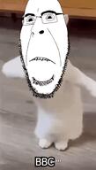 animal animated bald bbc biting_lip cat dance ext=gif glasses irl irl_background soyjak stubble subvariant:hornyson text variant:cobson // 211x373 // 1.8MB
