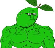 closed_mouth food foodjak fruit green green_skin lime muscles soyjak stubble subvariant:muscular_chud variant:chudjak variant:markiplier_soyjak // 1059x929 // 125.0KB