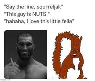 gigachad nas:gigachad nigga_thats_nuts squirrel squirreljak subvariant:feralsquirrel twitter variant:feraljak xitter_meme // 540x462 // 181.3KB